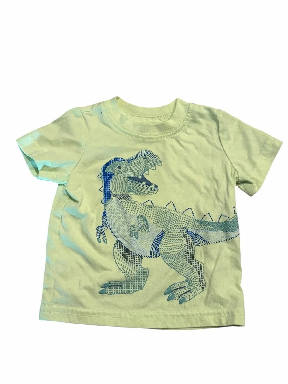 Carter's Light Green Tee with Blue Dinosaur Graphic